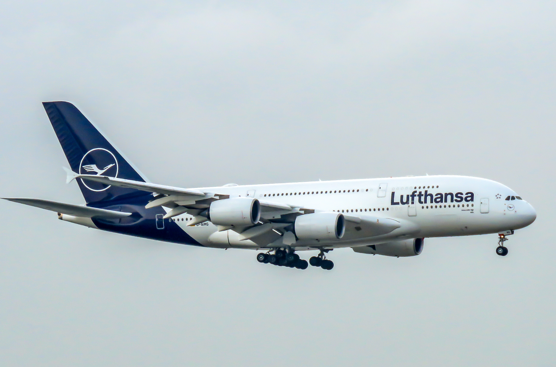 Ora il politicamente corretto gender fluid vola alto con le compagnie aeree. Il caso Lufthansa 1